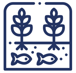 http://icon-process