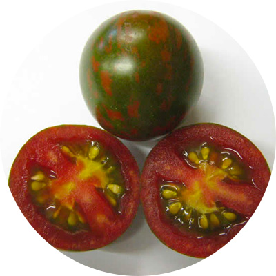Cherry Crimson - 275
