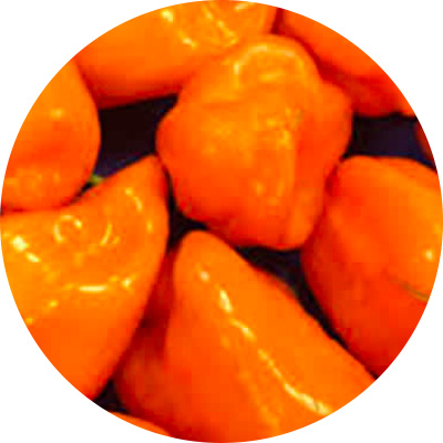 Habanero Mixed - 186