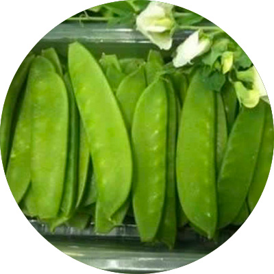 Mange Tout O.S.P. mk II - 169