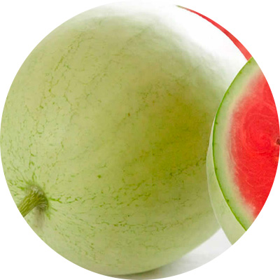 Monache - 321