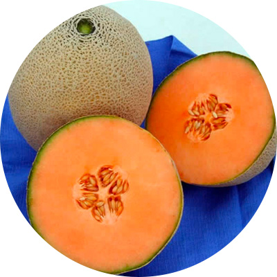 Shuar - 268